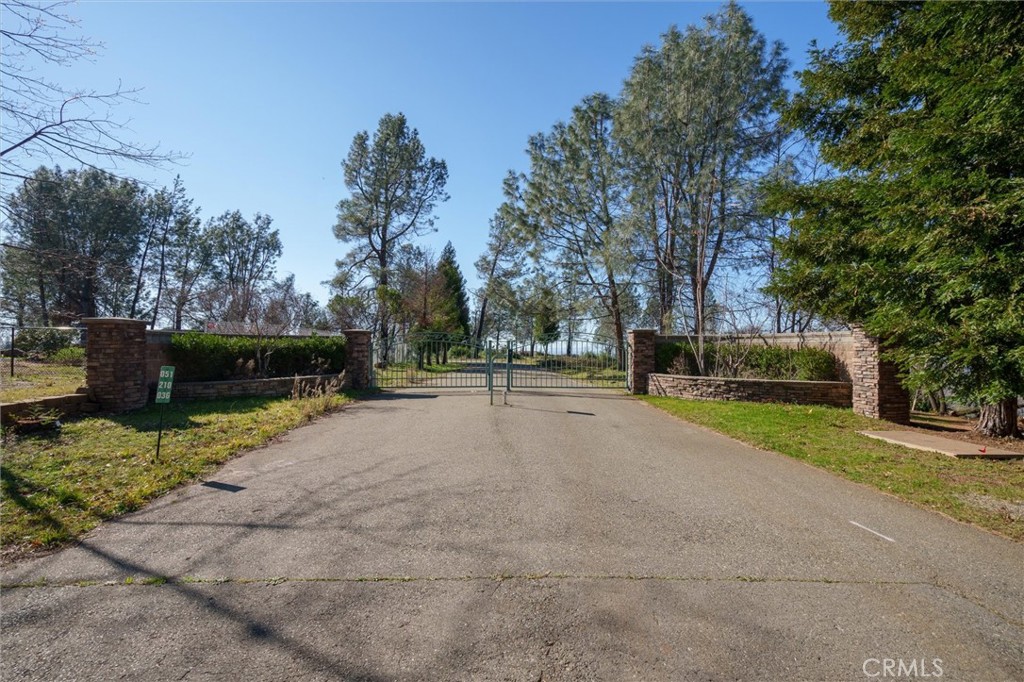 a view of outdoor space with garden