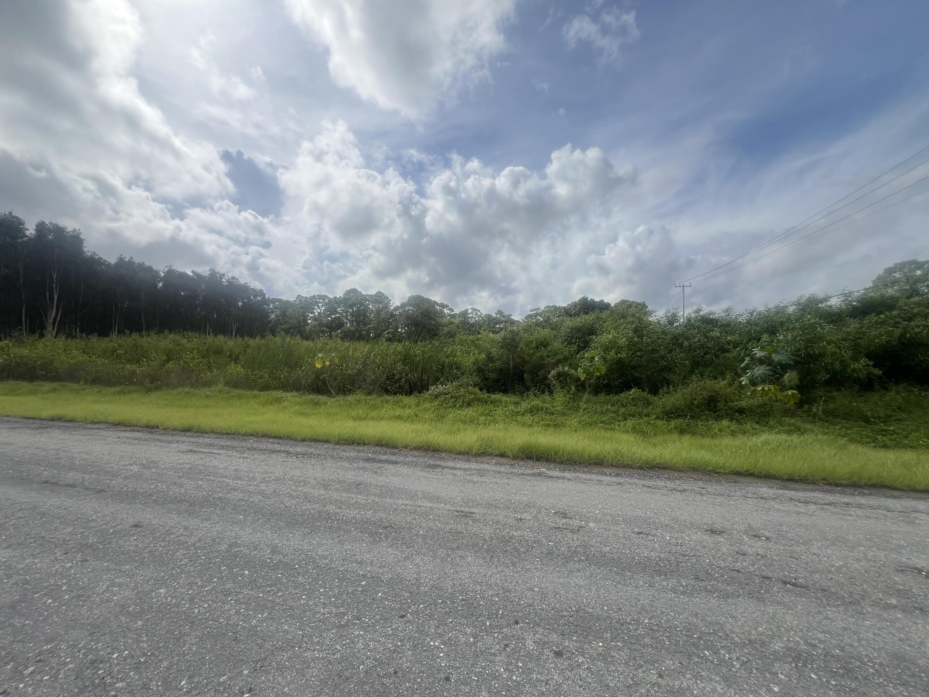 a view of a field with a big yard