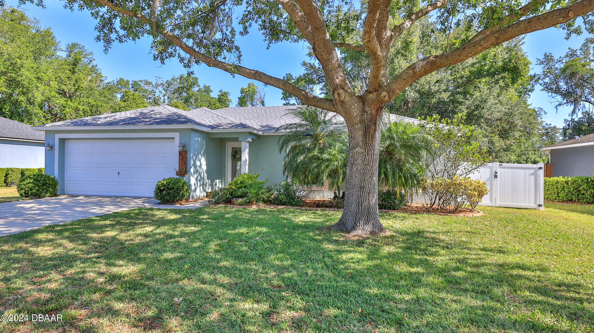 a backyard of a house with plants and large tree