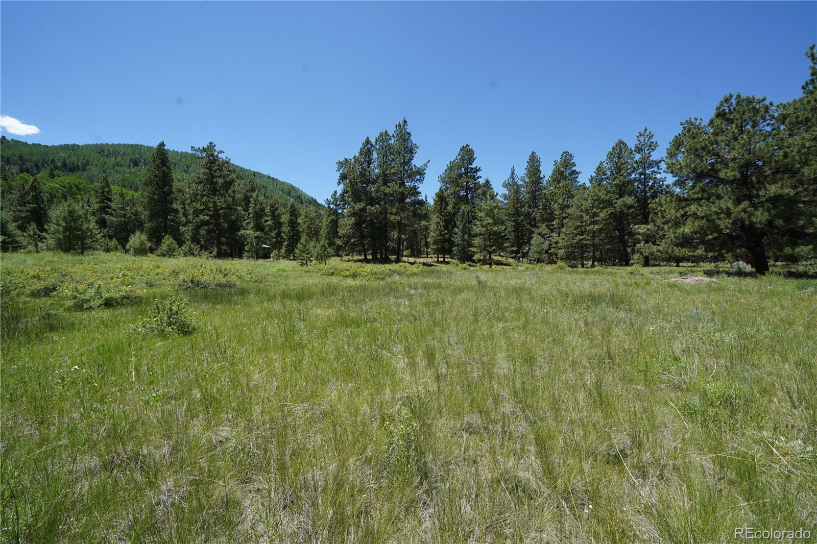 a view of a field with trees in the background