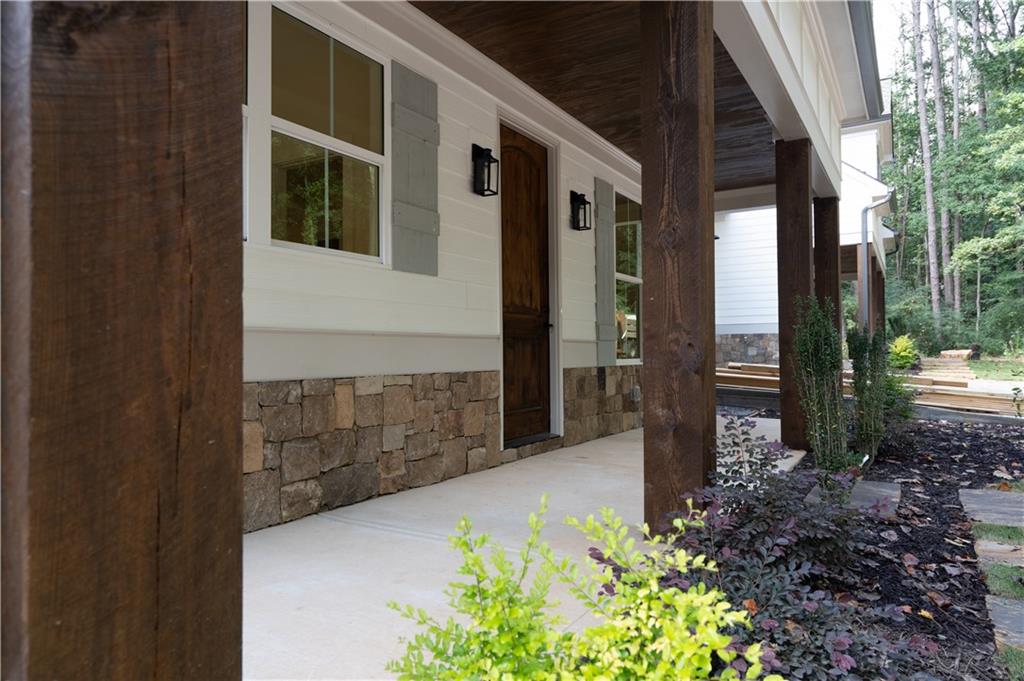 a view of backyard with potted plants