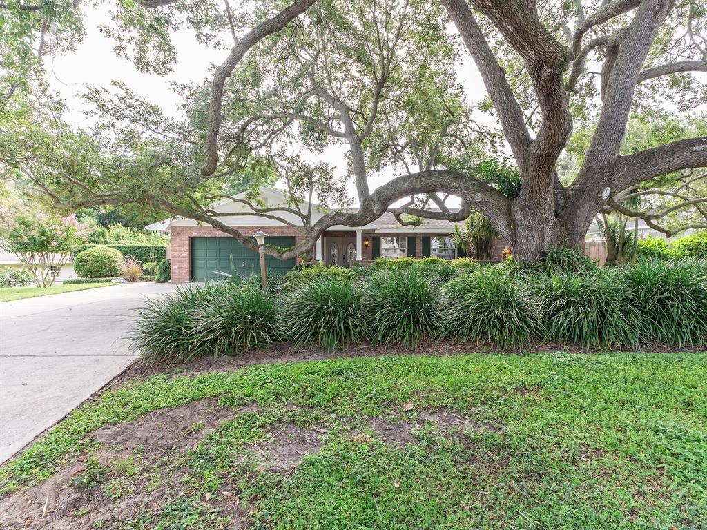 a front view of a house with yard and green space