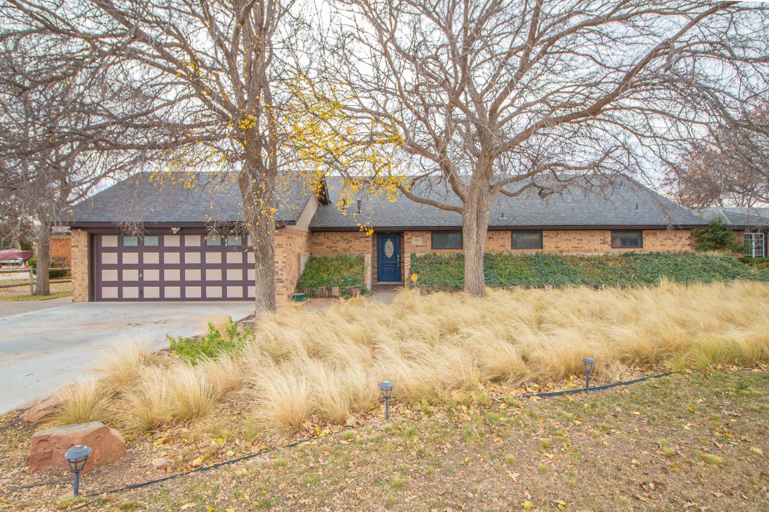 a view of a yard with a large tree