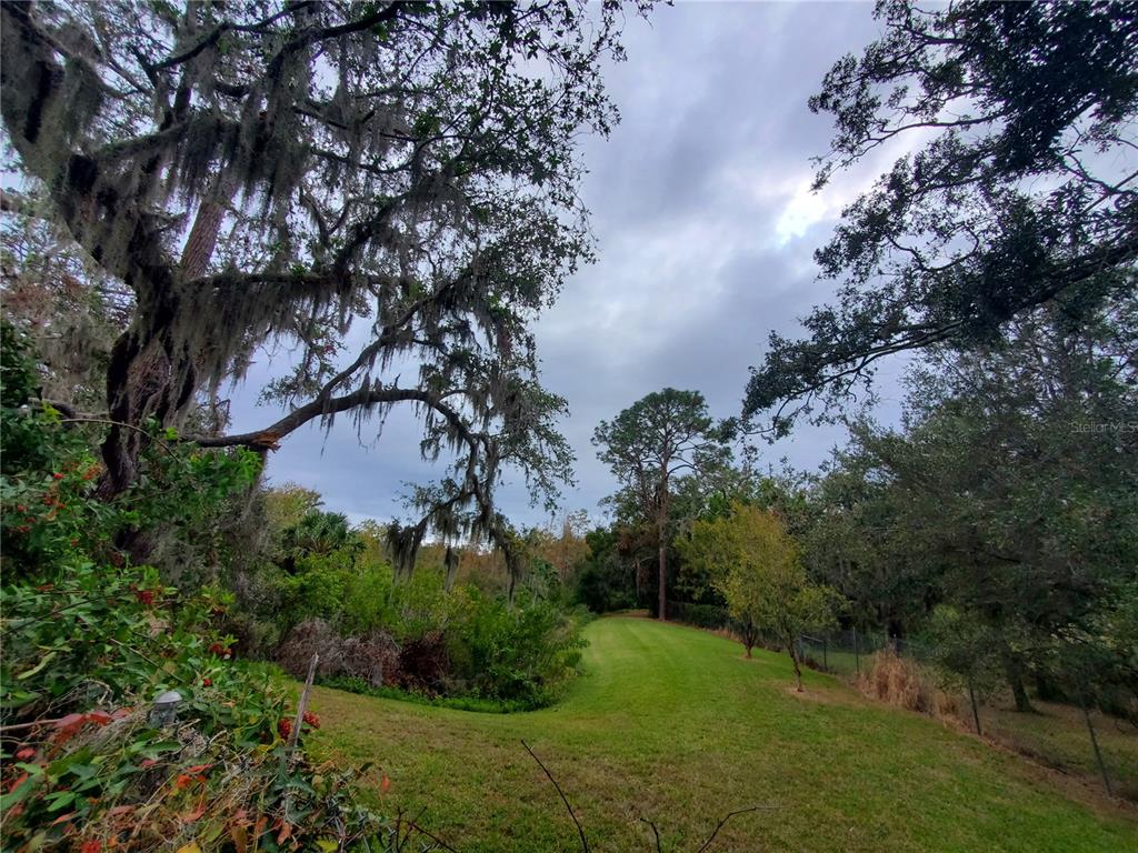 a view of a garden