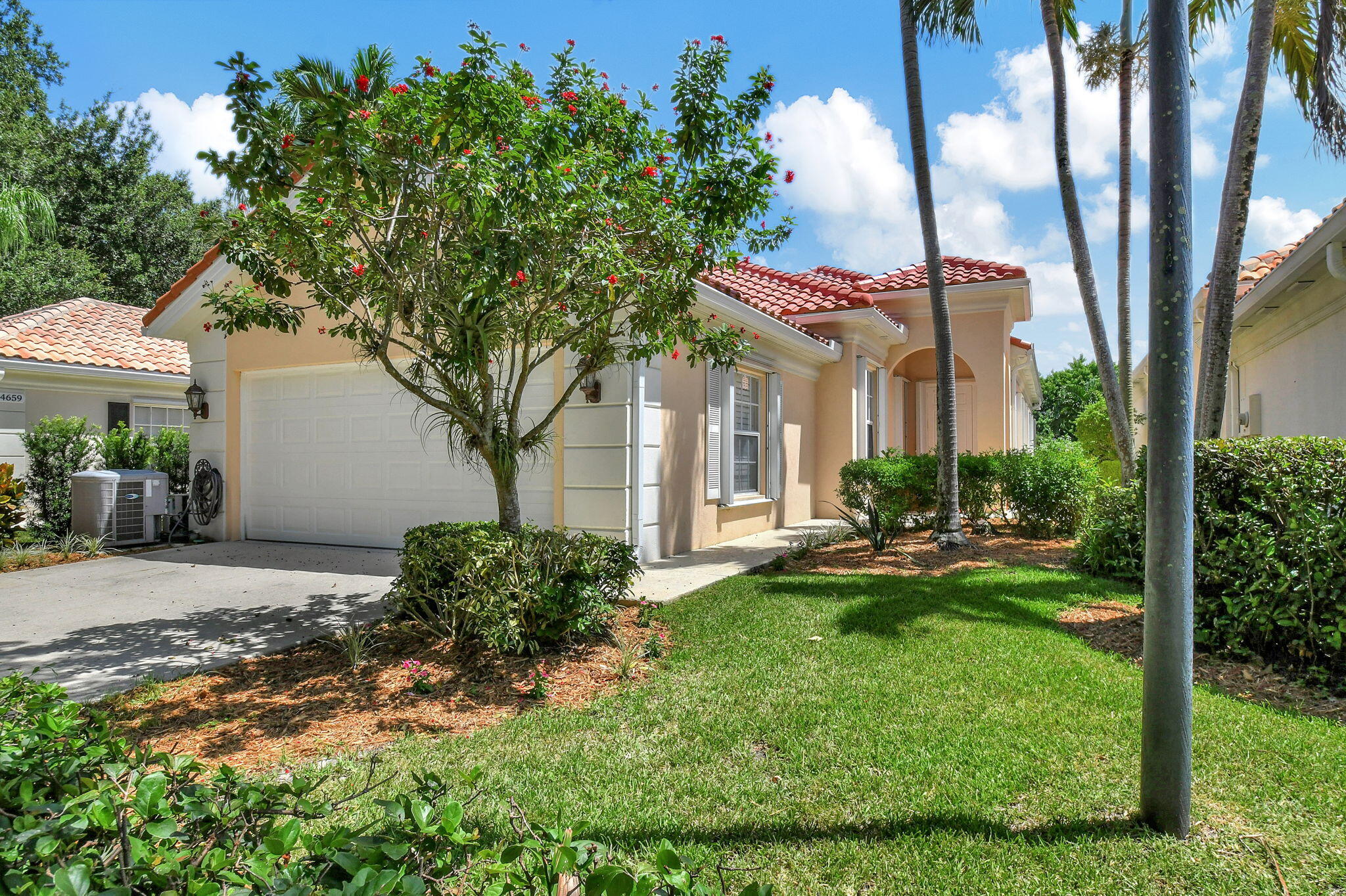 a view of a house with a tree and a yard