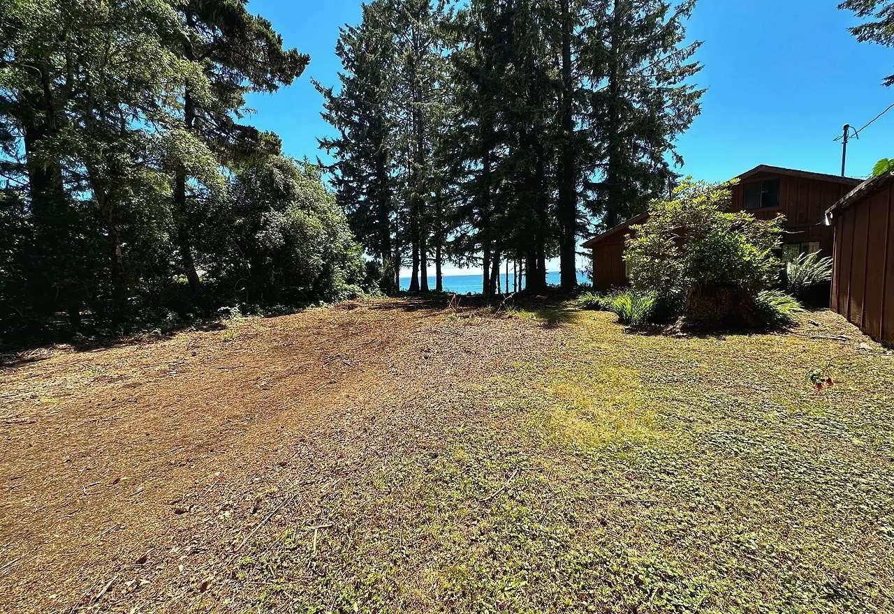 a view of a yard with a tree