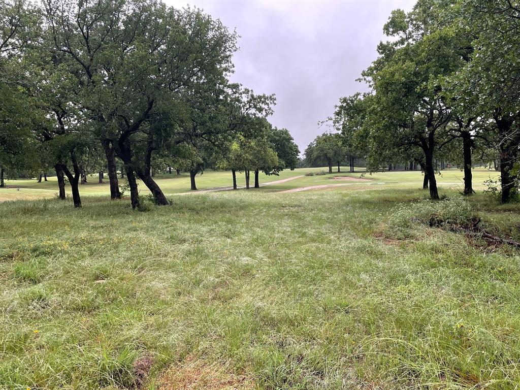 a view of open space with trees all around