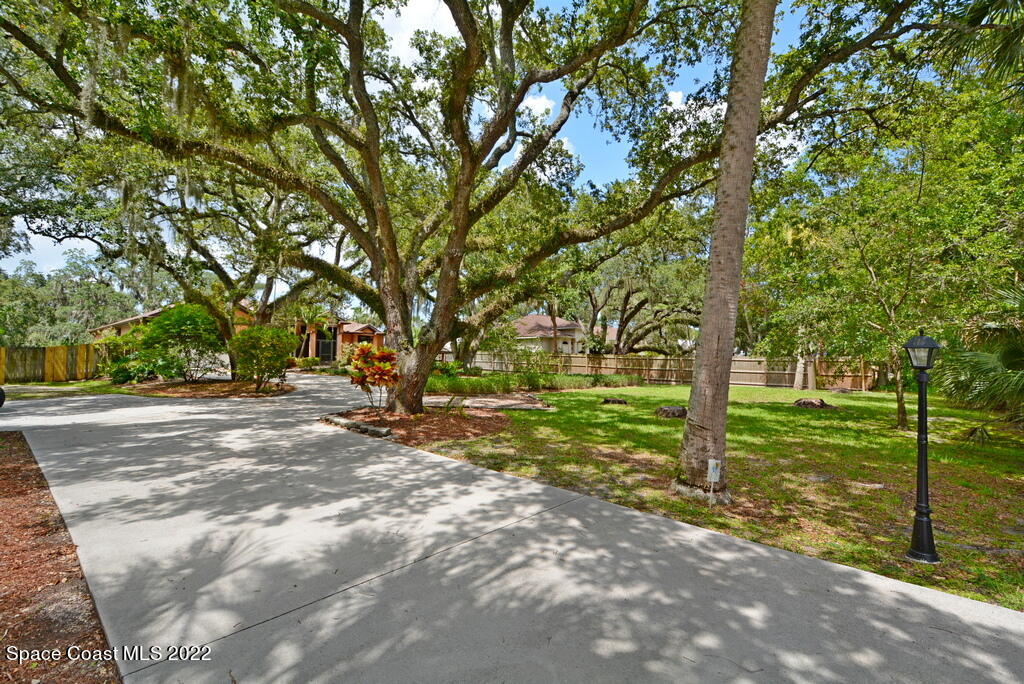 a view of a yard with large trees