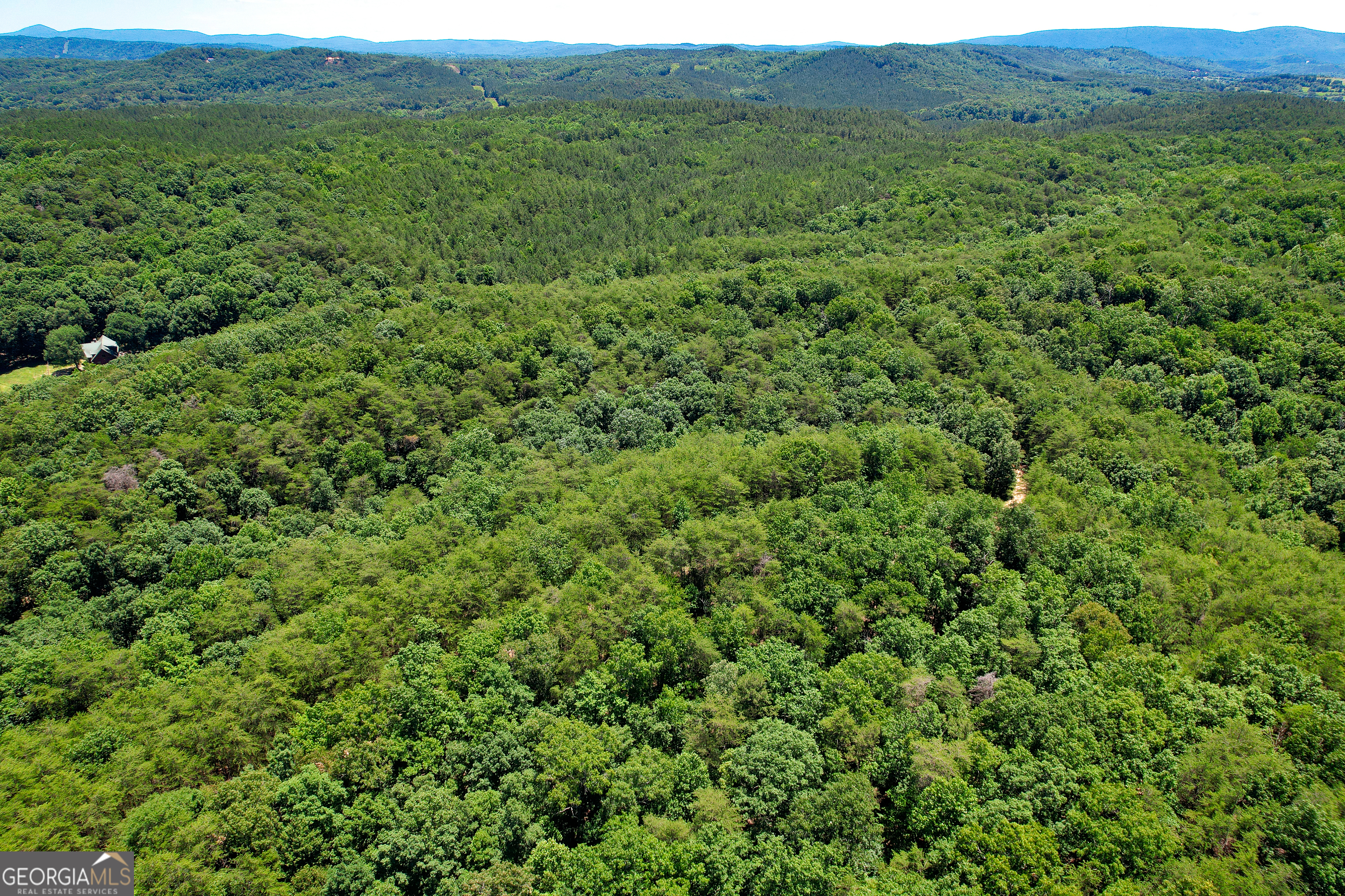 a view of a lush green field