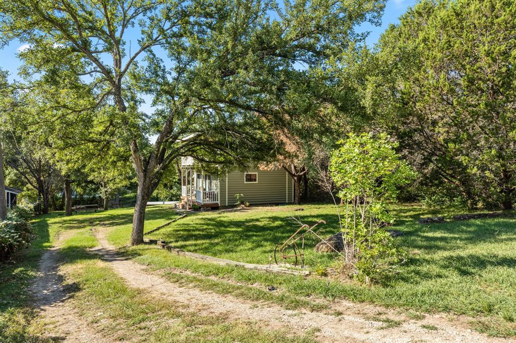 a large tree in the middle of a yard