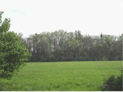 a view of field with trees in the background