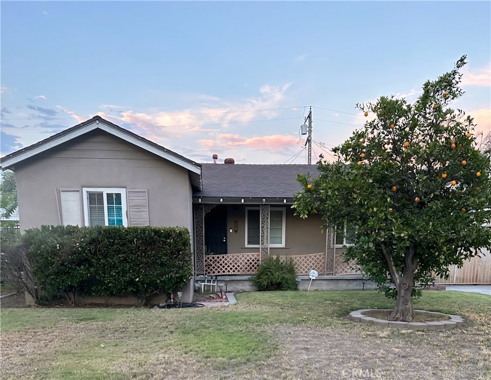 a house that has a tree in front of it