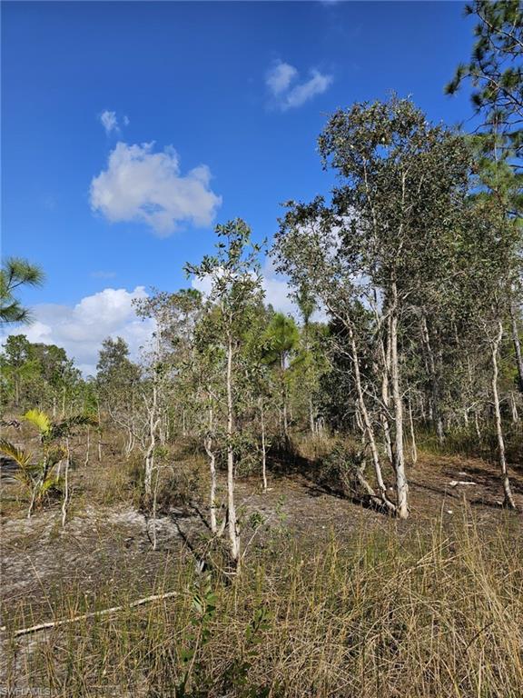 View of landscape