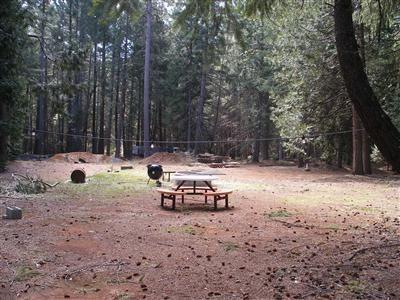 a view of a bench in the backyard