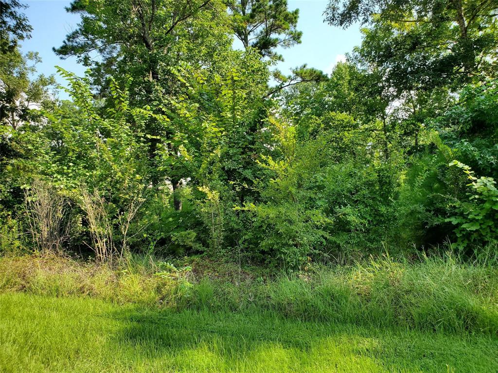 a view of a lush green space