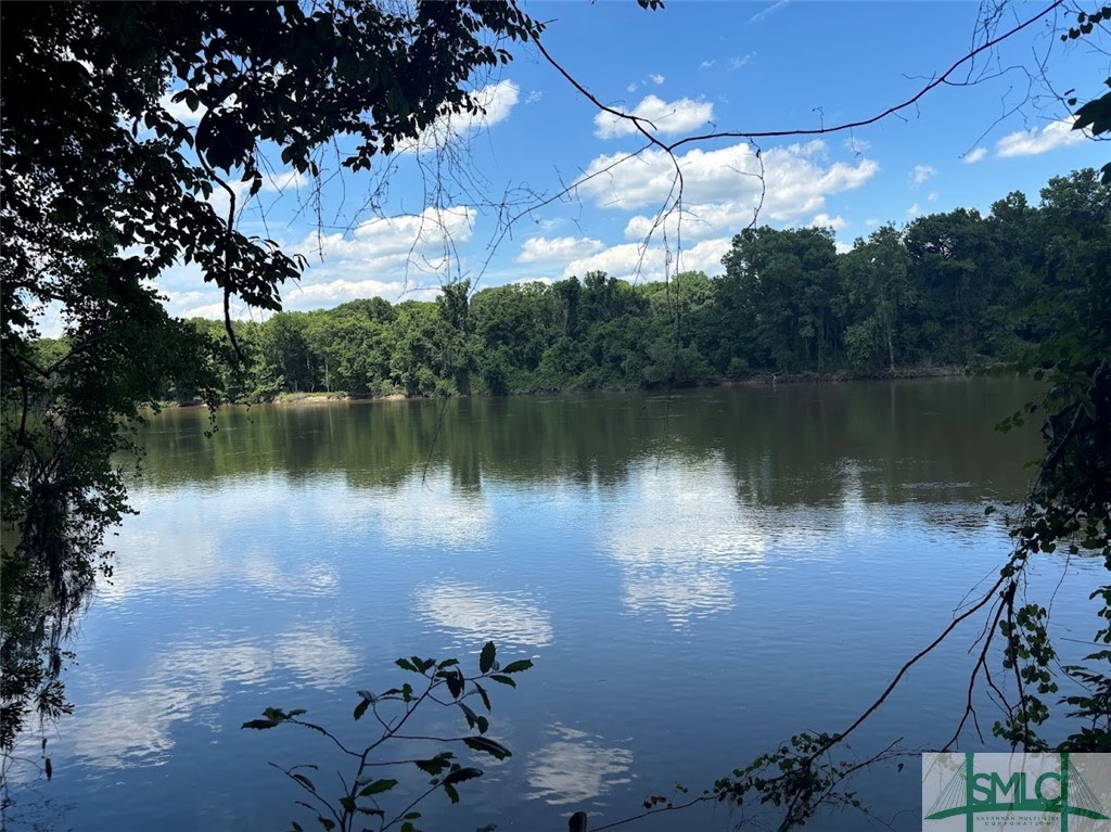 Views of the Savannah River