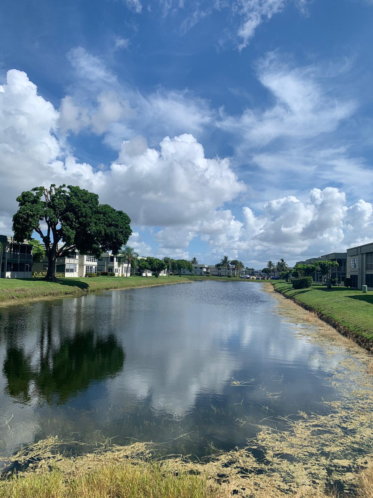 a view of a lake from a yard