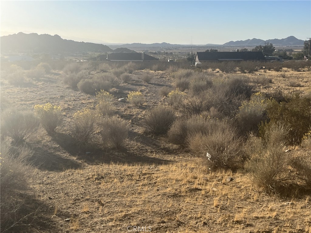 a view of city and mountain