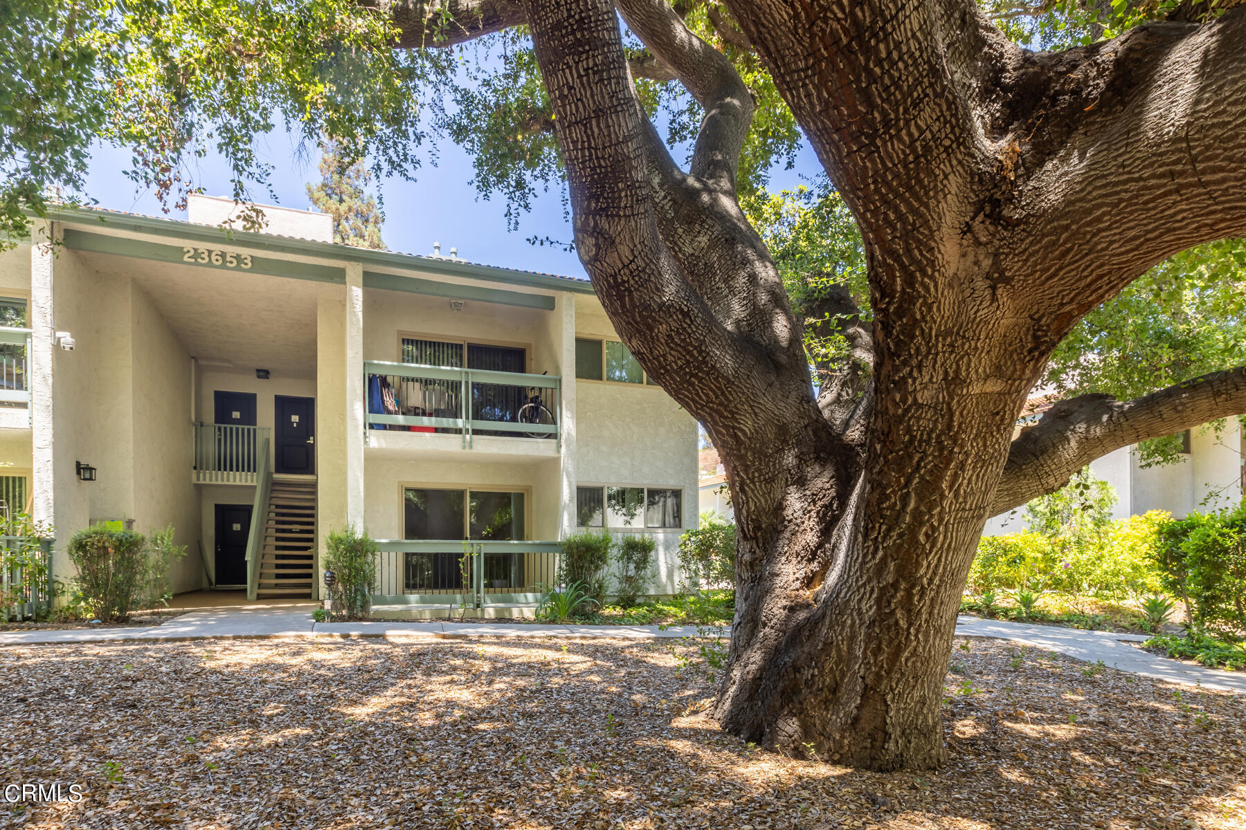 a view of a trees in front of a house