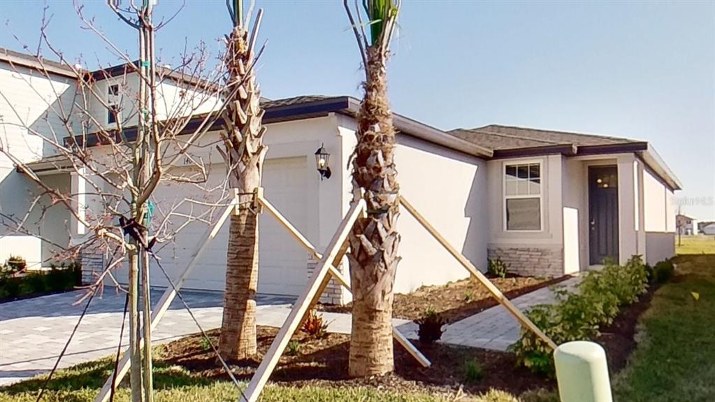 a house with trees in front of it