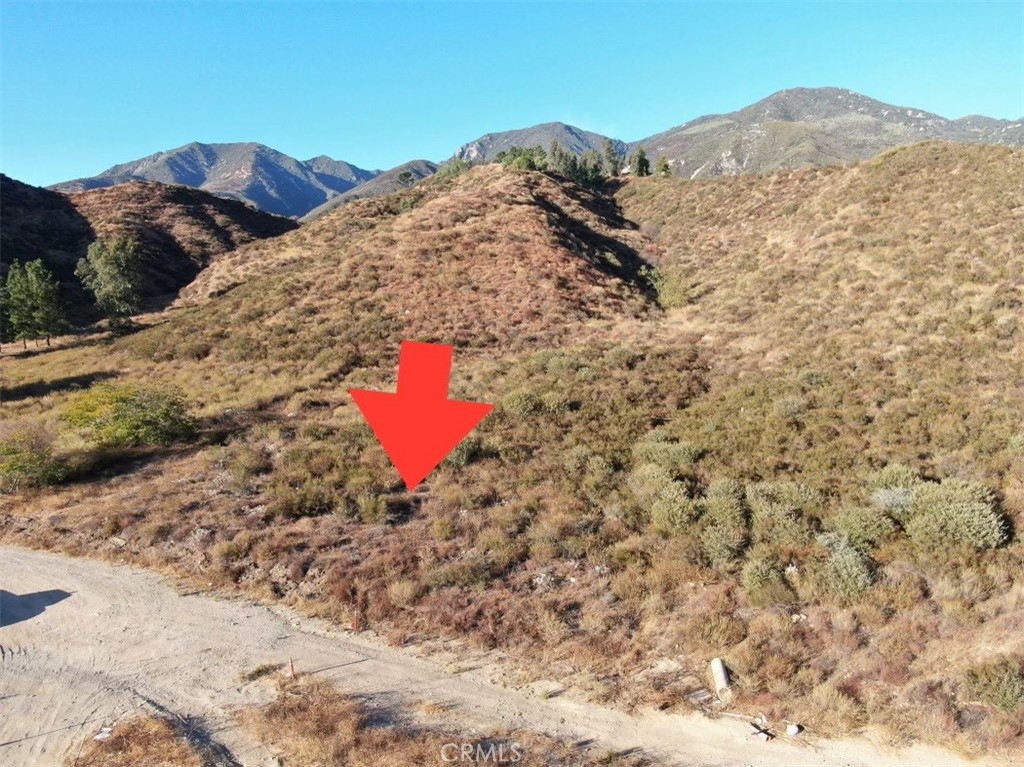 a view of a dry yard with mountains in the background