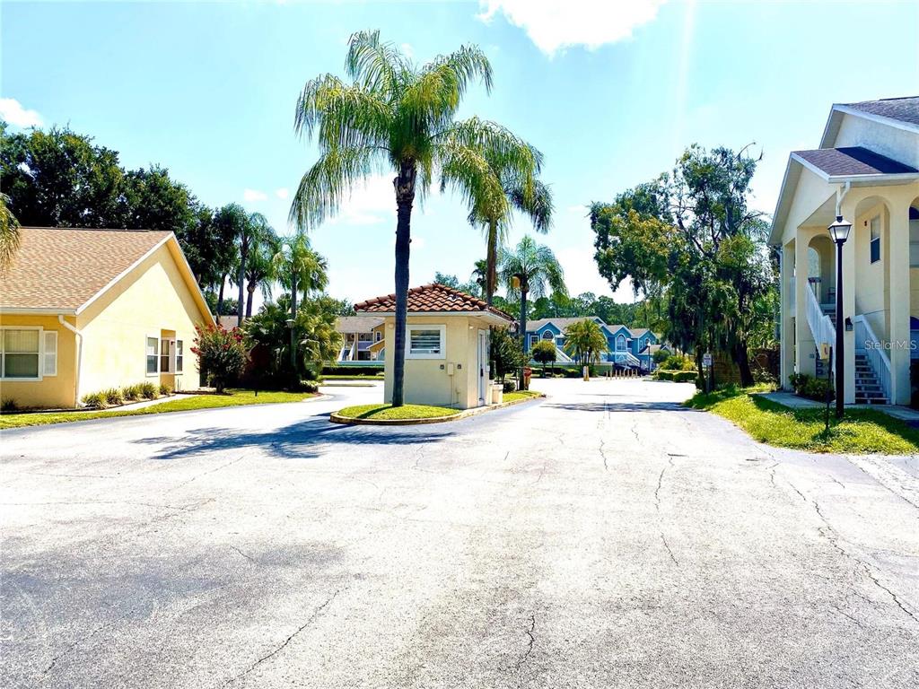 a view of a white house with a small yard and palm trees