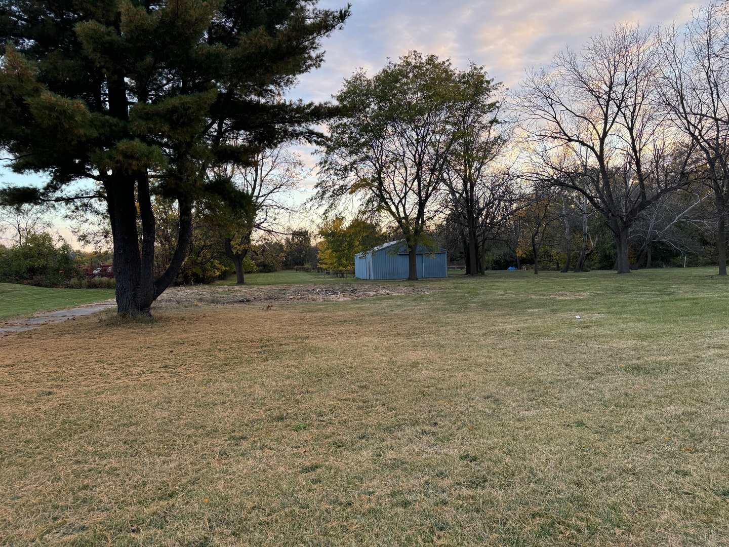 a view of backyard with tree