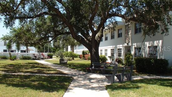 a view of a park with large trees