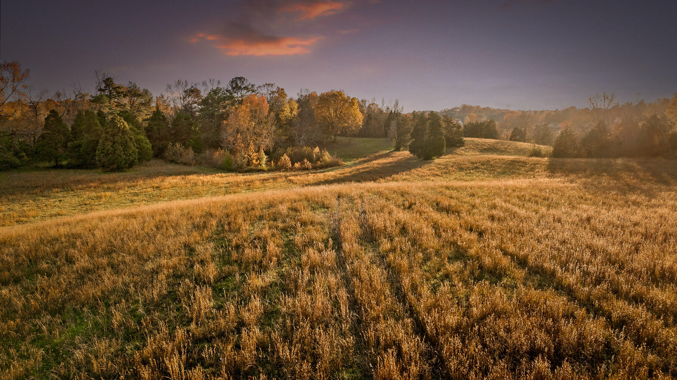 Oak Hill - Twilights-8