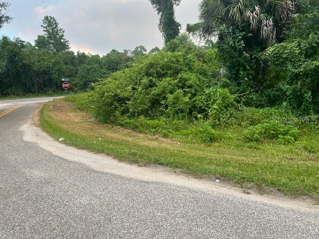 a view of a yard with a plants and trees