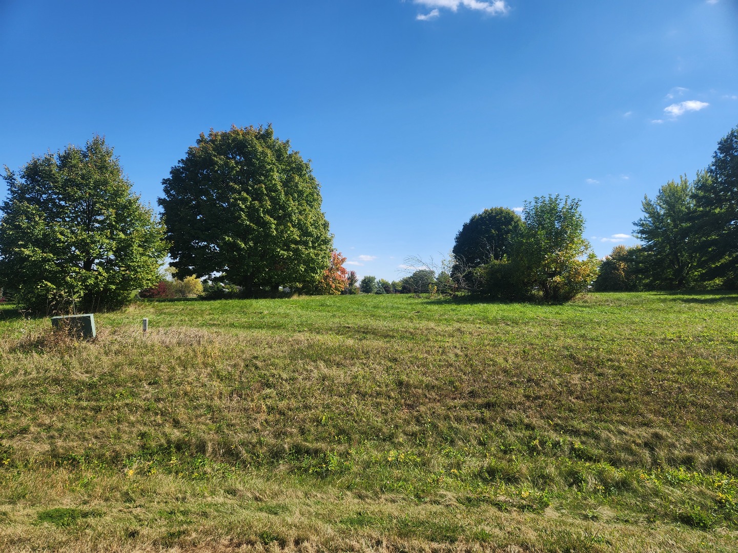 a view of yard with green space