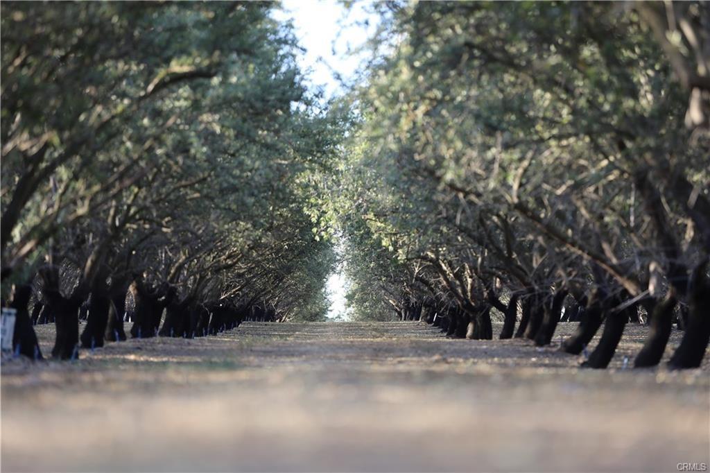 a view of road and trees