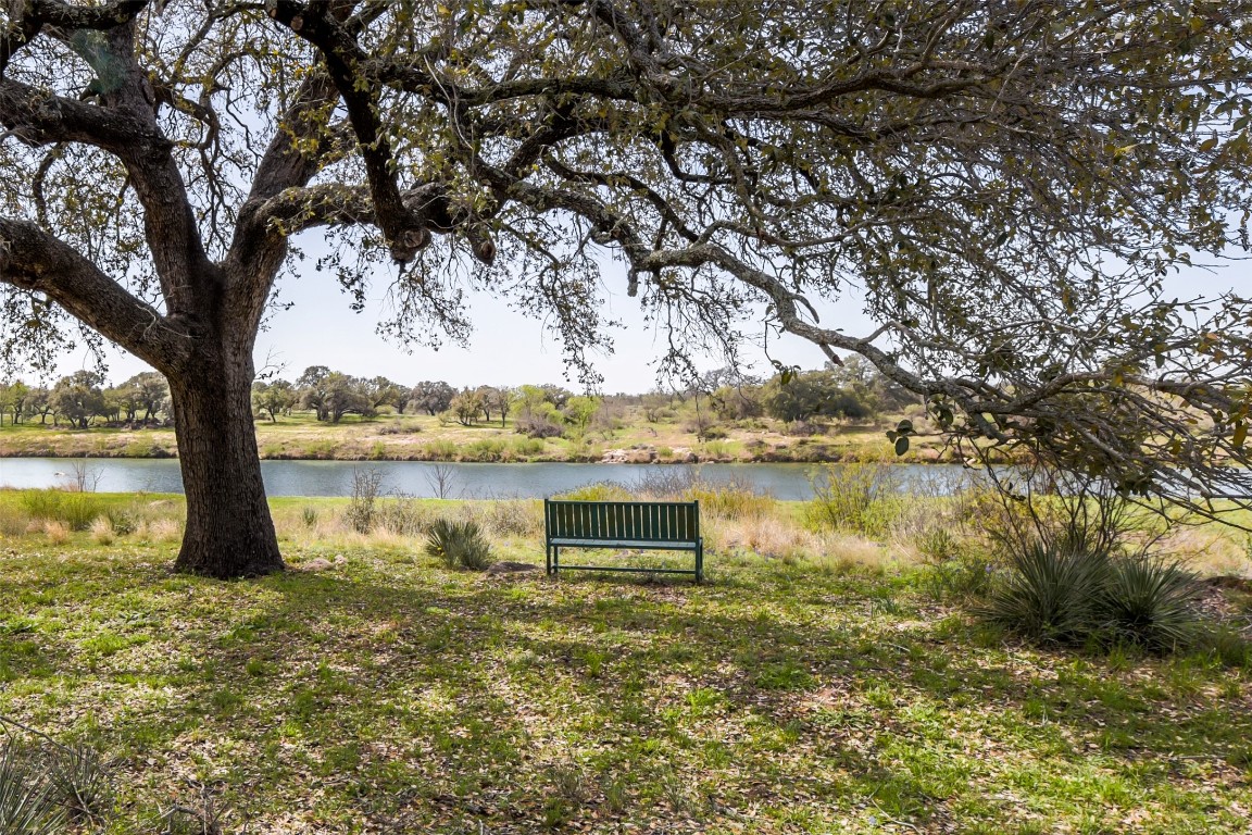 a view of a lake with a tree