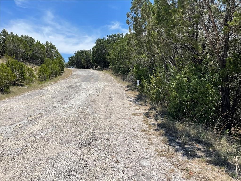 a view of a dirt road with trees in the background