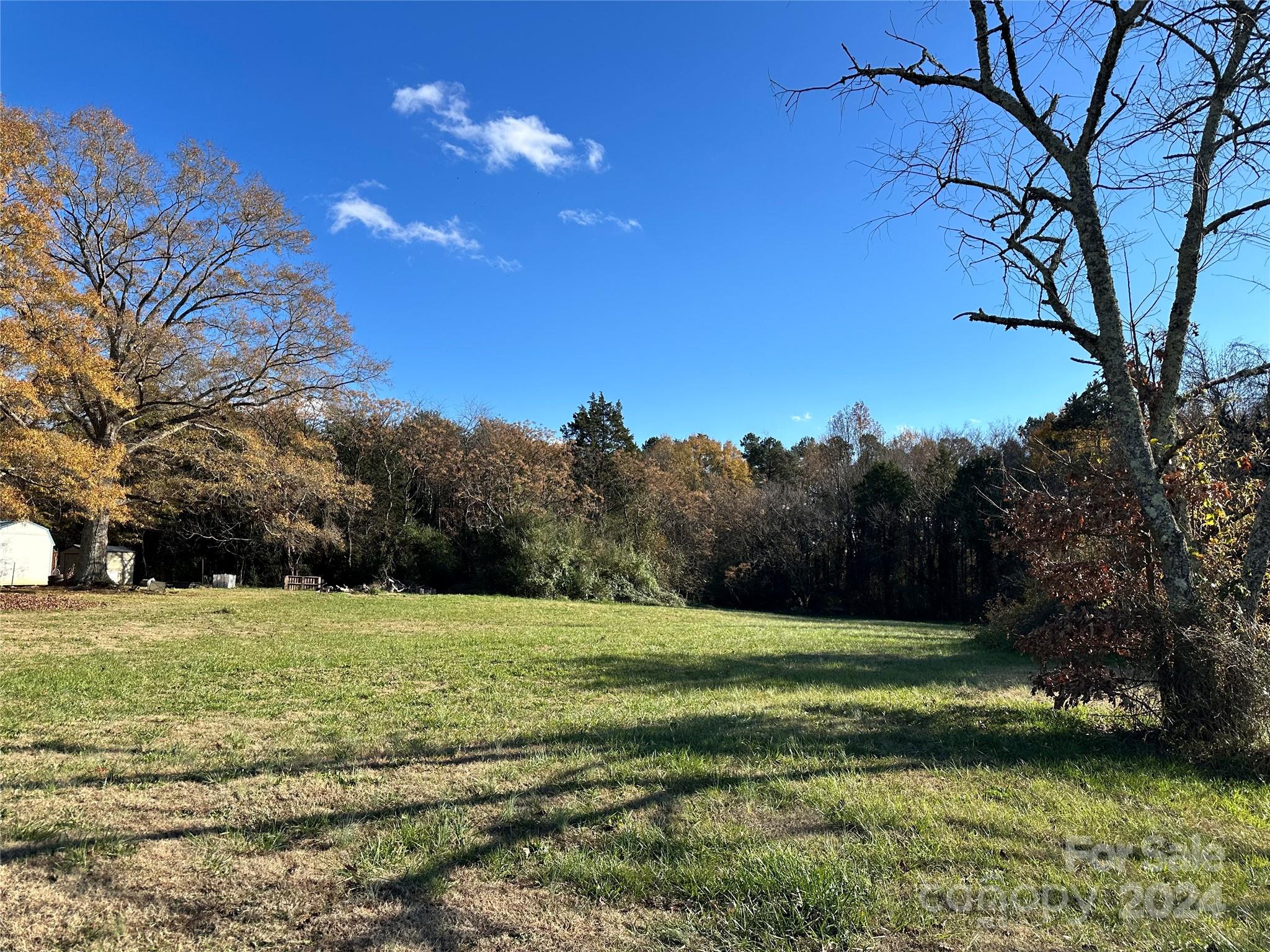 a view of a field with a trees in the background