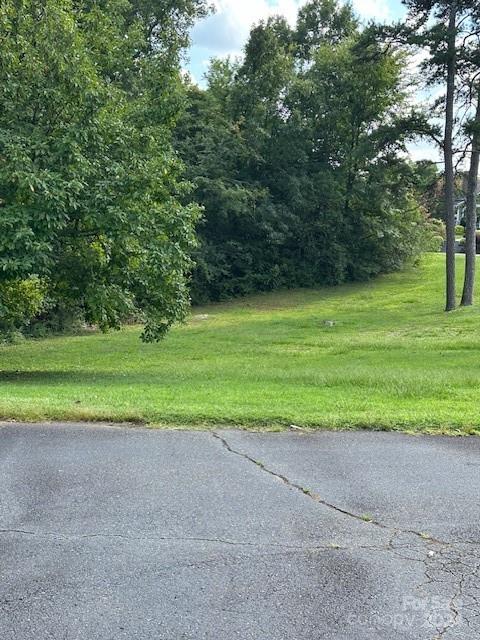 a view of a big yard with a trees