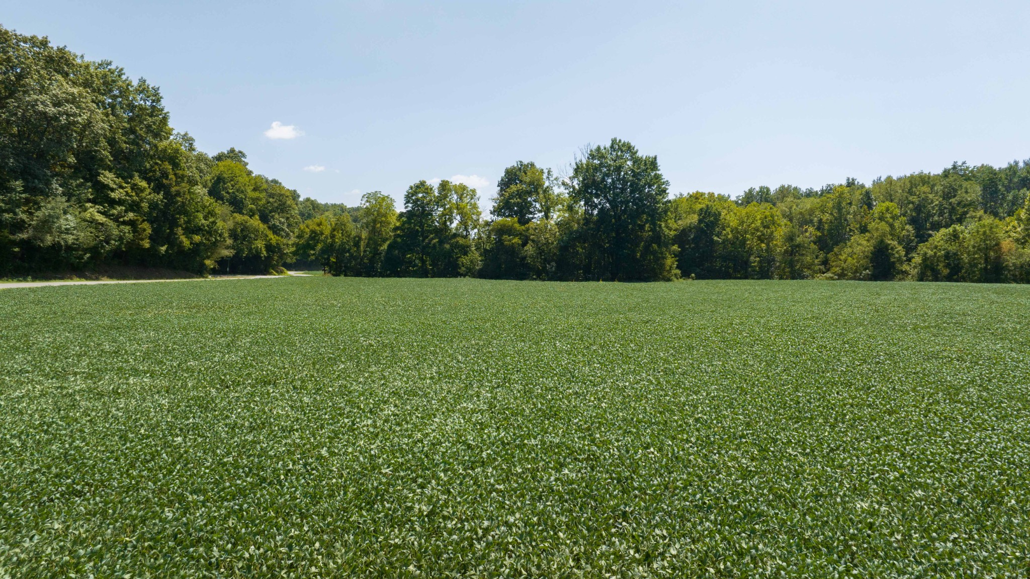 a view of field with trees in the background