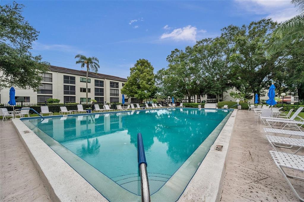 a view of swimming pool that has lawn chairs with plants and trees