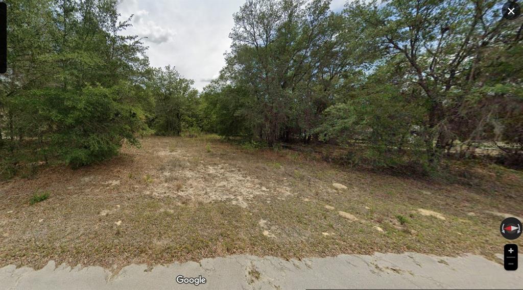 a view of a yard with a tree