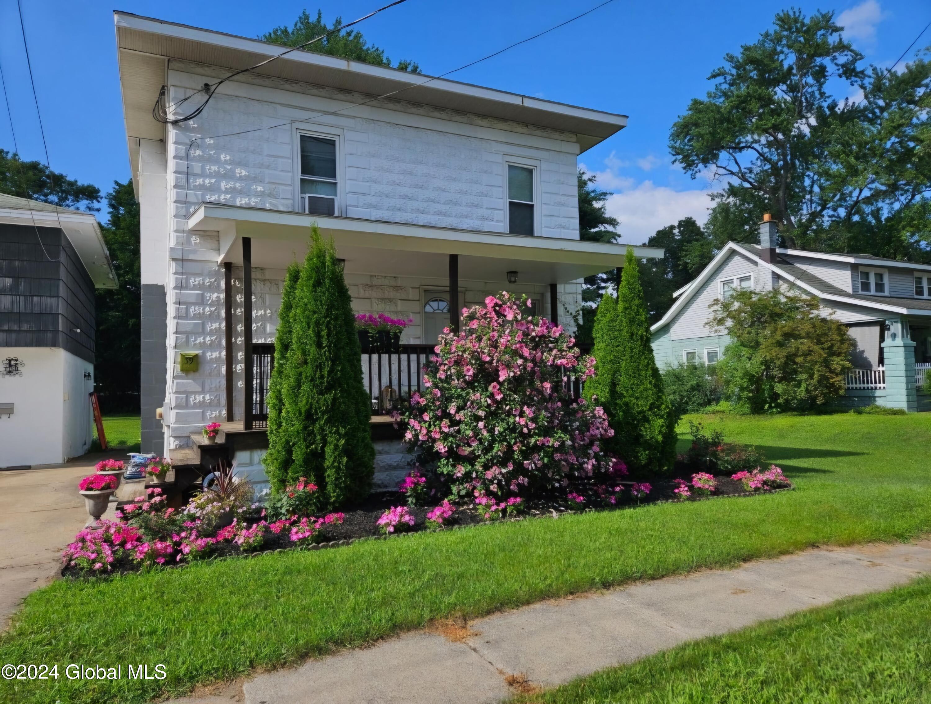 Front summer flowers