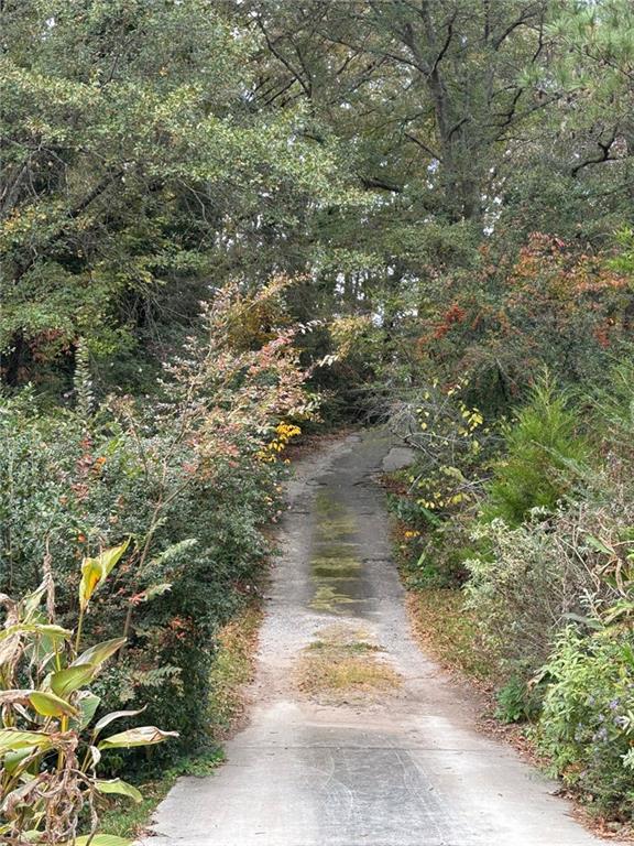 a view of a pathway both side of yard