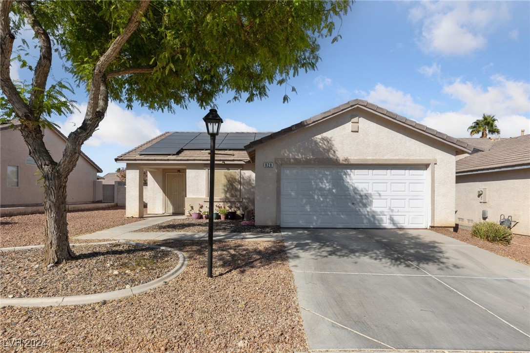 Low maintenance desert landscape front yard