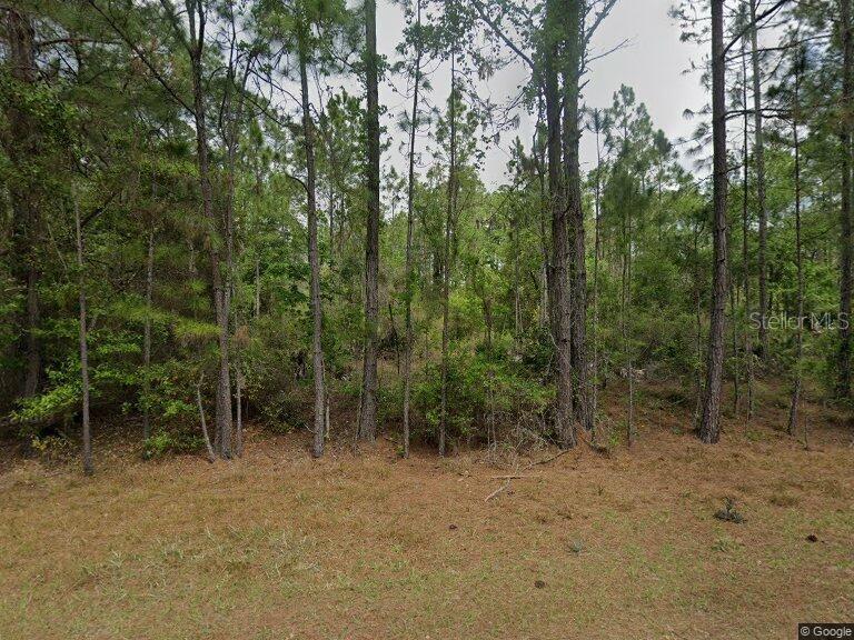 a view of an outdoor space with lots of trees