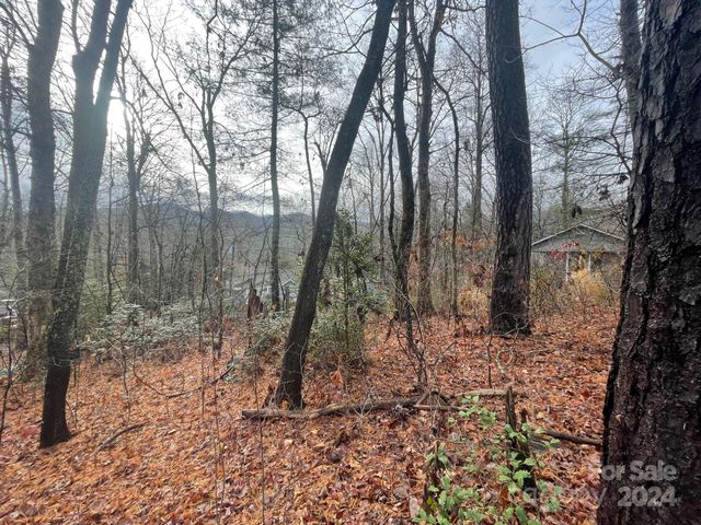 $50,000 | 99999 Rattlesnake Mountain Road | Black Mountain Township - Buncombe County