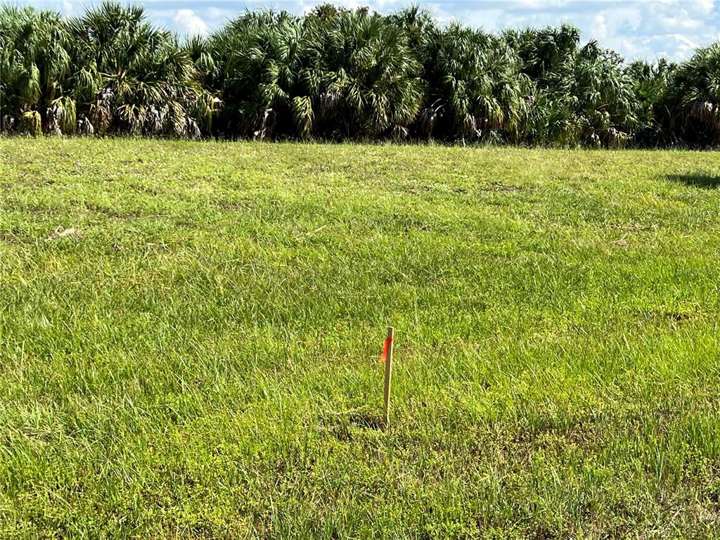 a view of green field with trees in the background