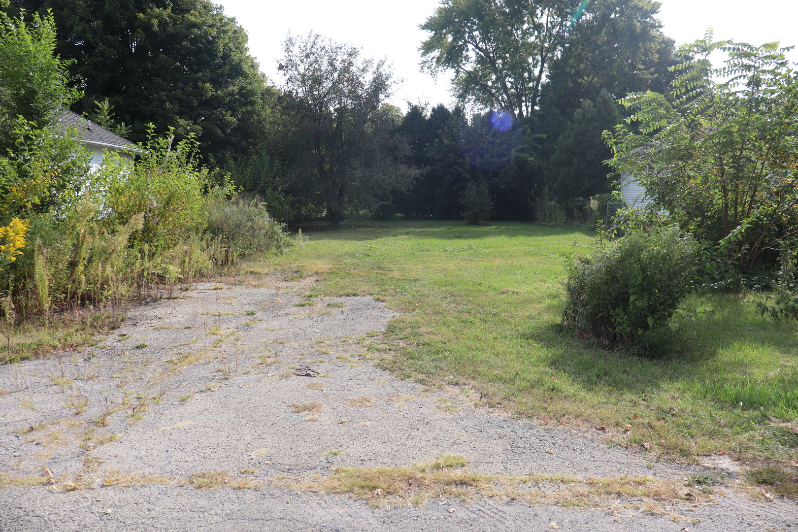 a view of a yard with trees in the background