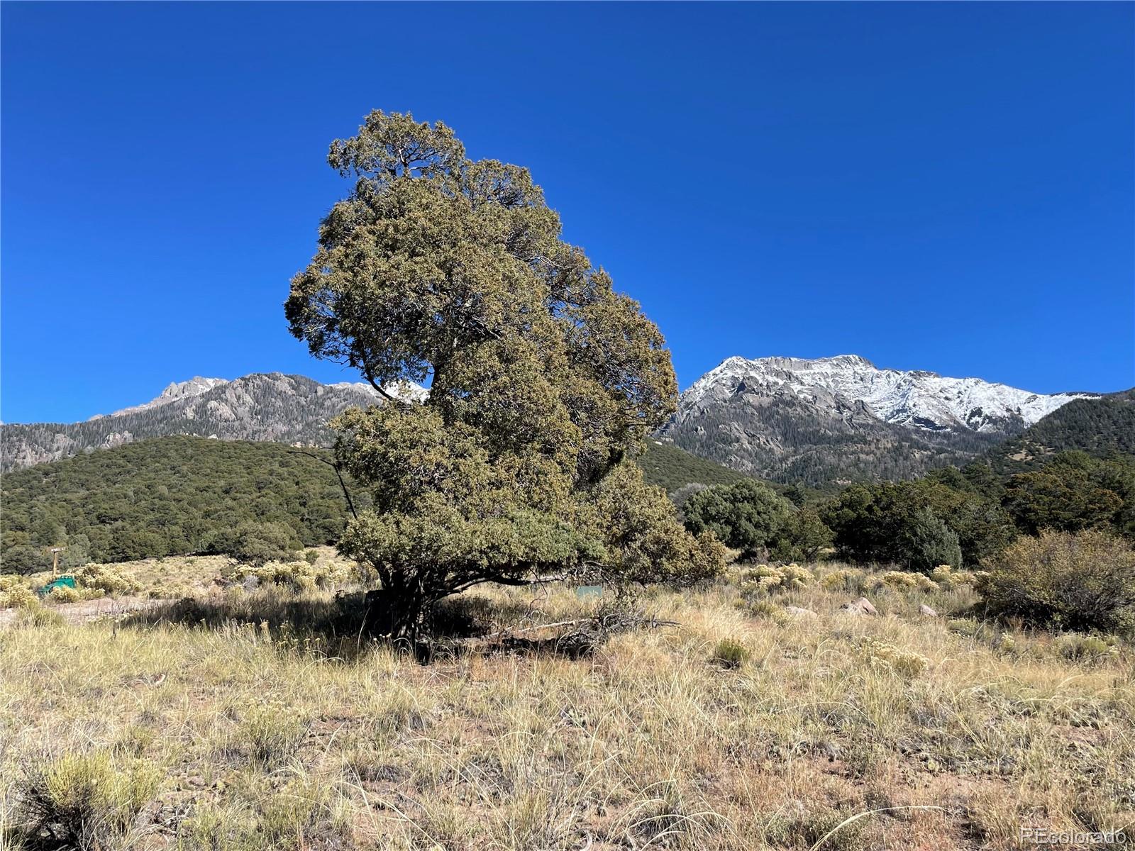 a view of a house with a yard and mountain in the background