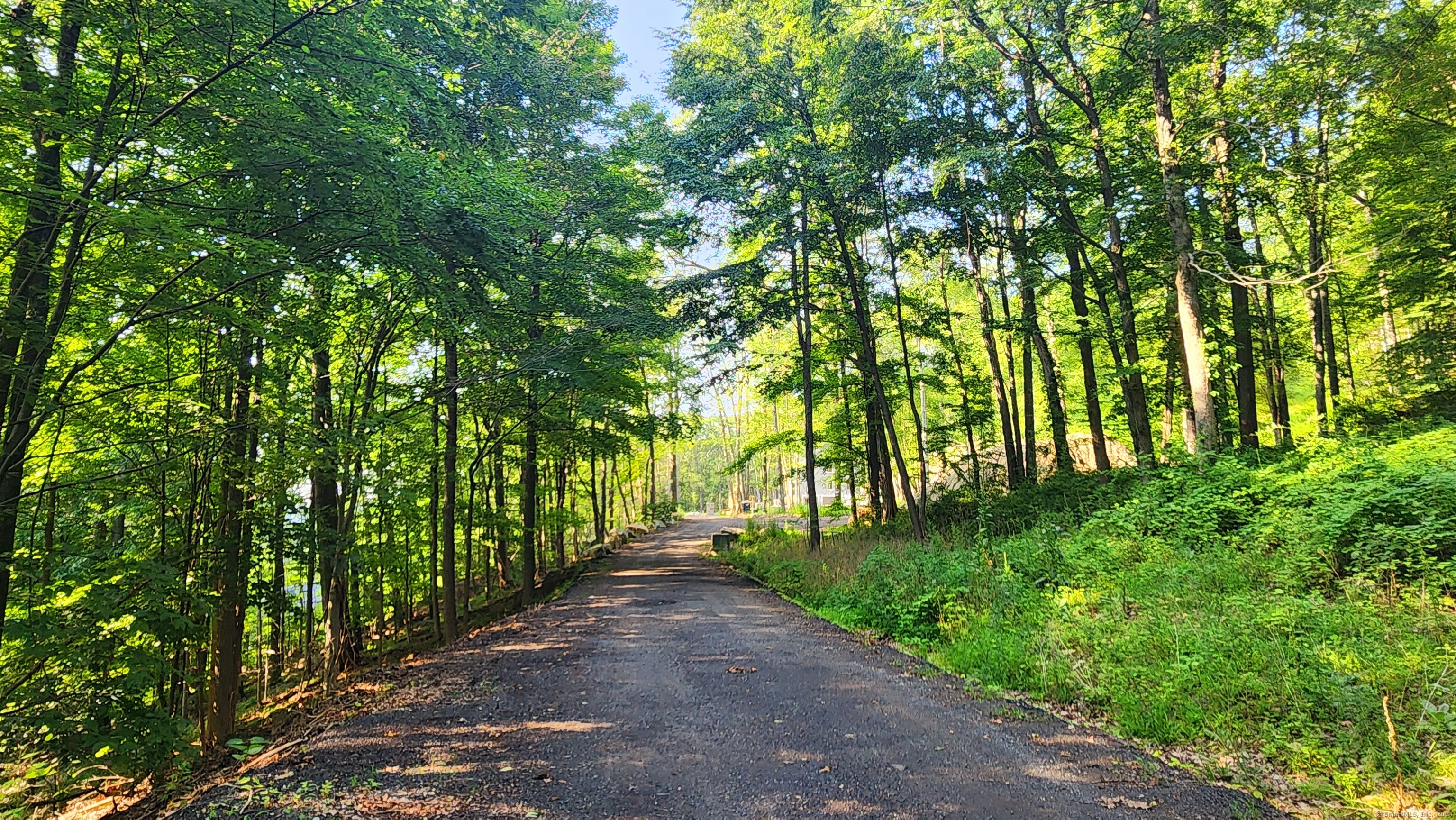 a view of a park with plants and trees