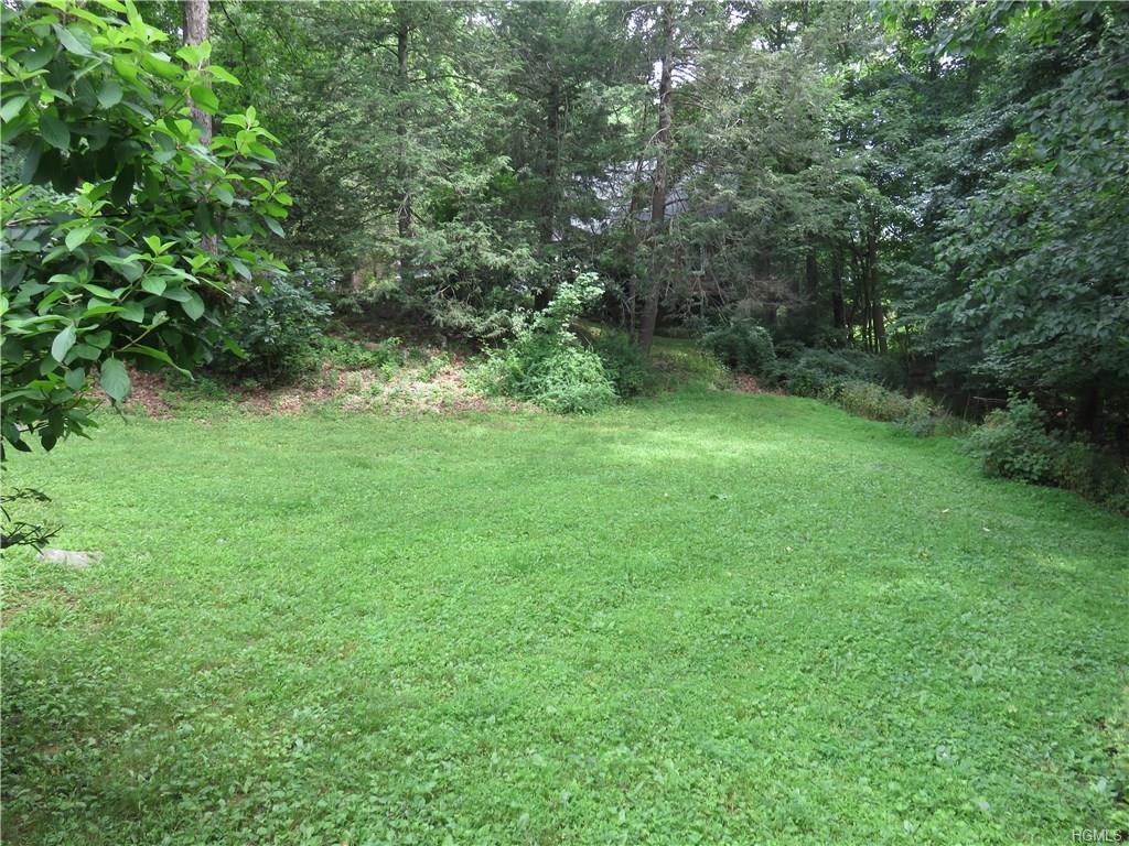 a view of a lush green space