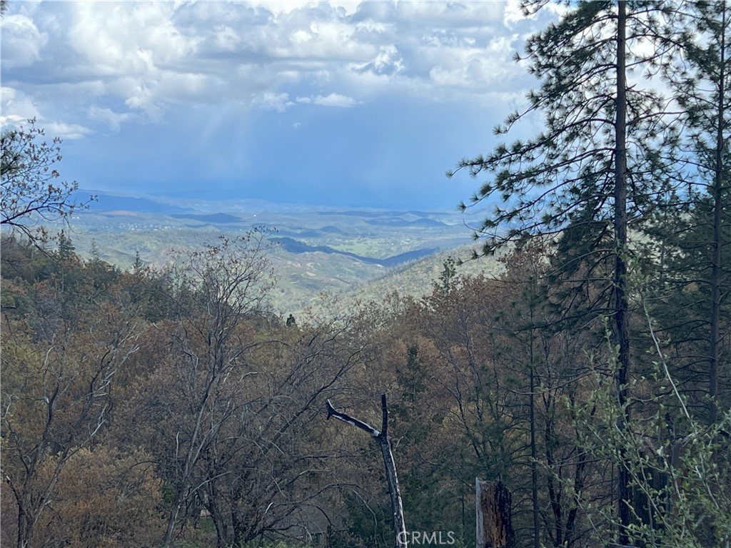 a view of a field with trees in background